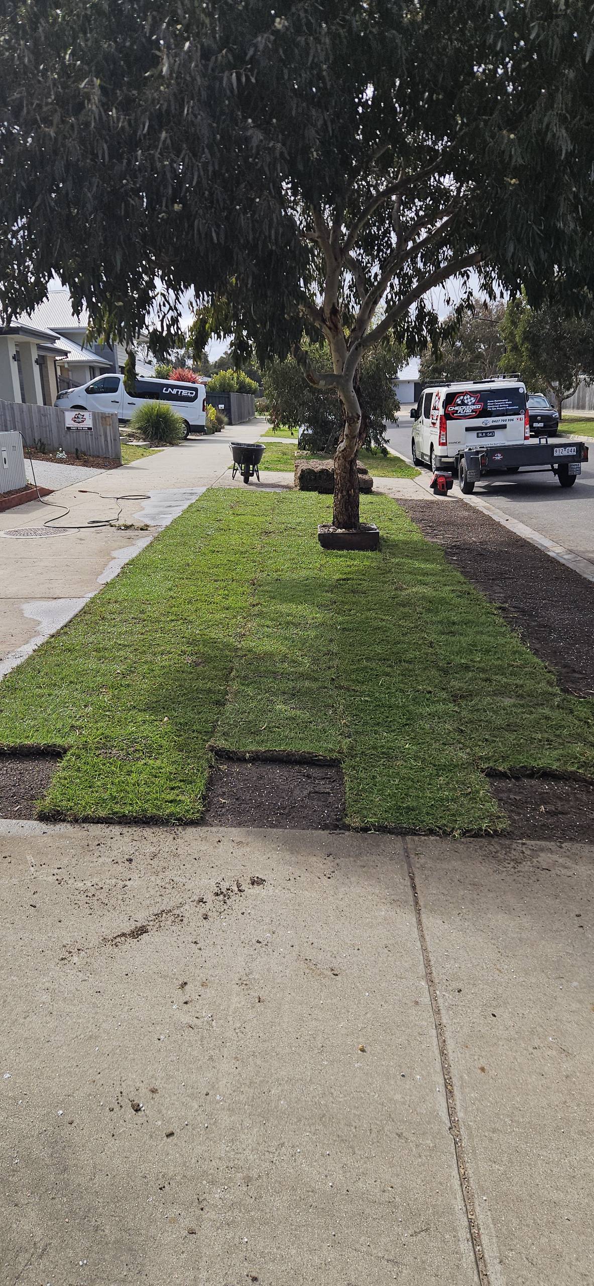 Pressure Washing & Minor Landscaping