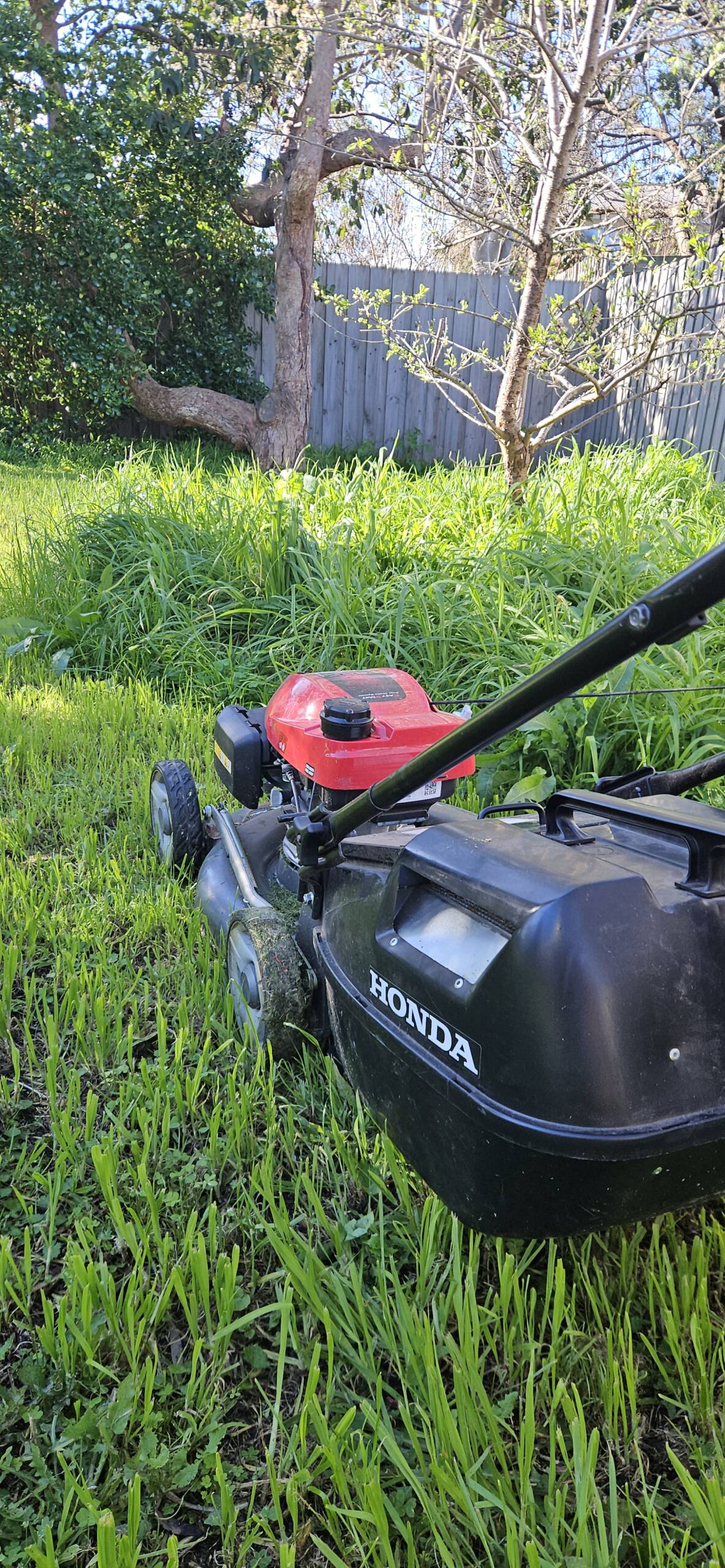 ️Lawn Mowing, Hedging & Weed Control