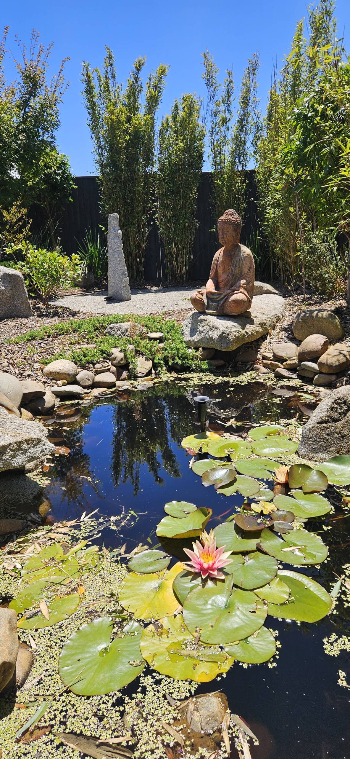 ️Lawn Mowing, Hedging & Weed Control