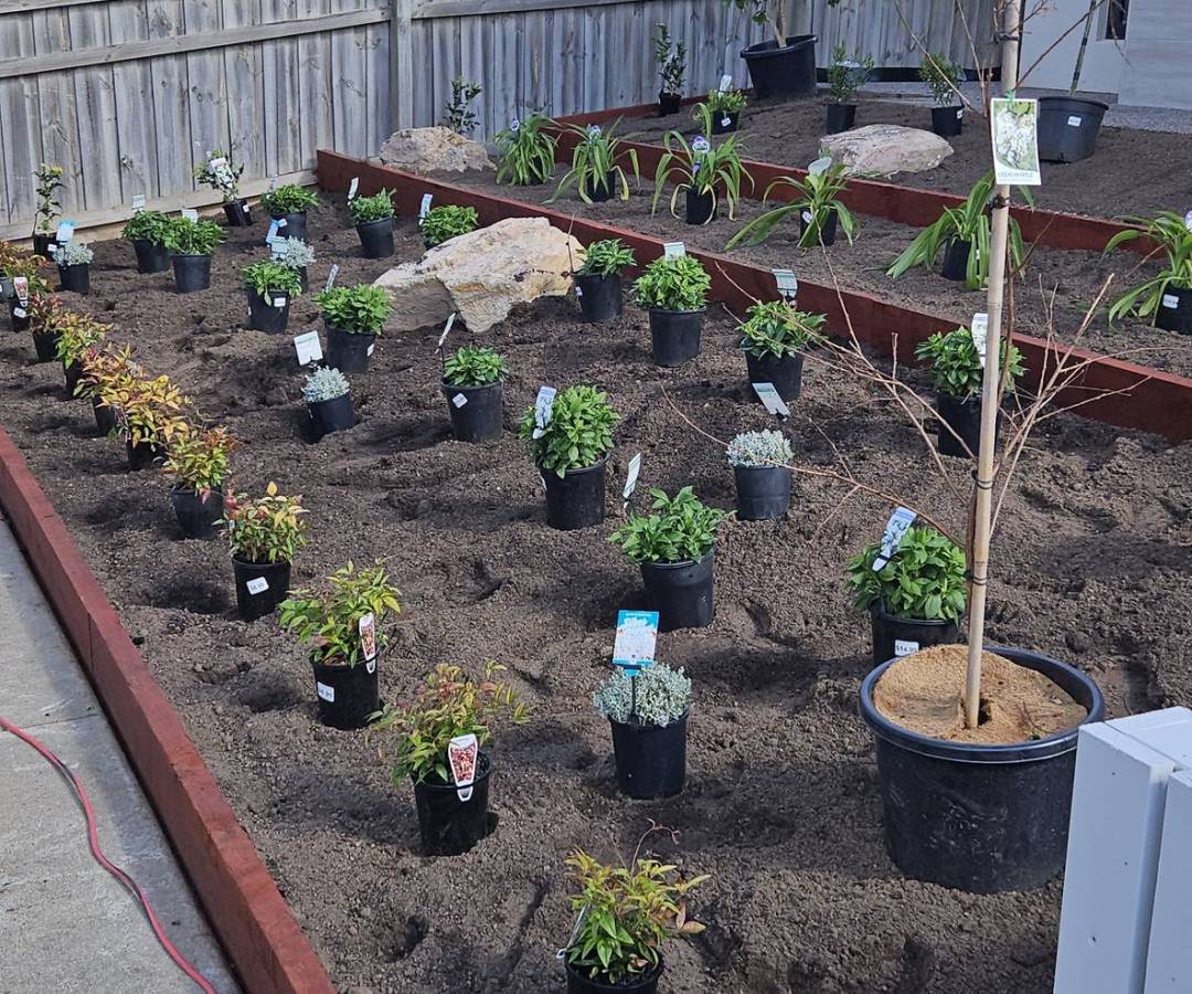 Garden Upgrades