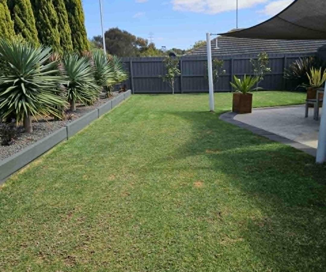 Lush Lawns (1)